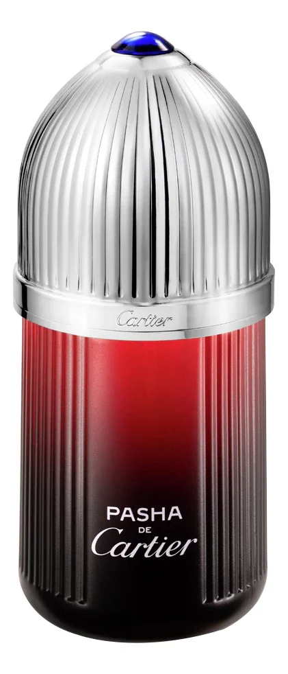 Pasha De Cartier Edition Noire Sport