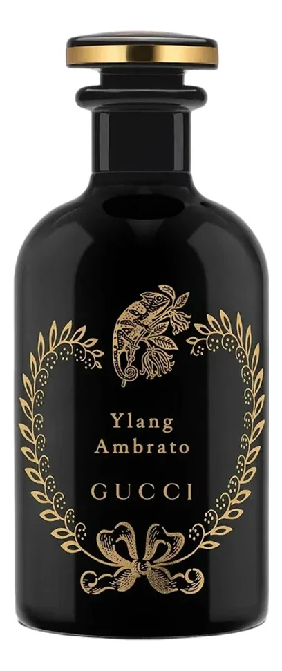Ylang Ambrato