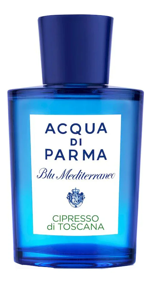 Cipresso Di Toscana