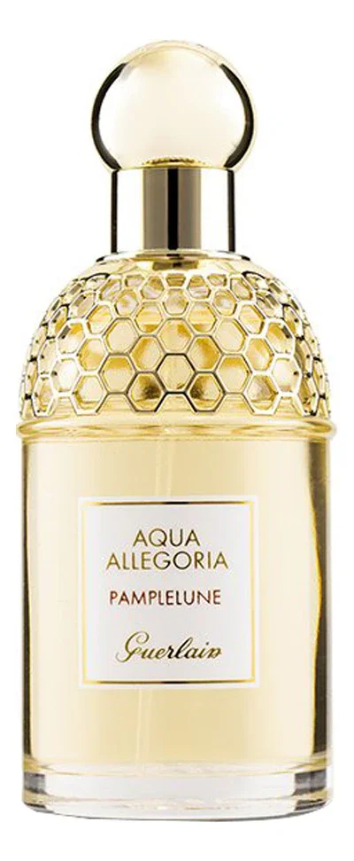Aqua Allegoria Pamplelune