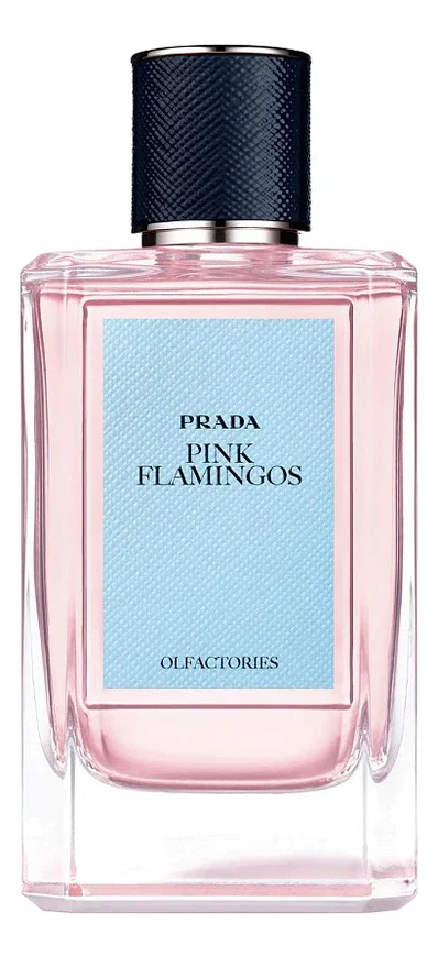 Olfactories Pink Flamingos