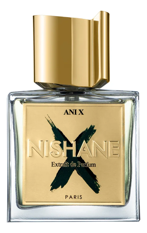 Ani X