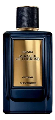 Olfactories Miracle Of The Rose