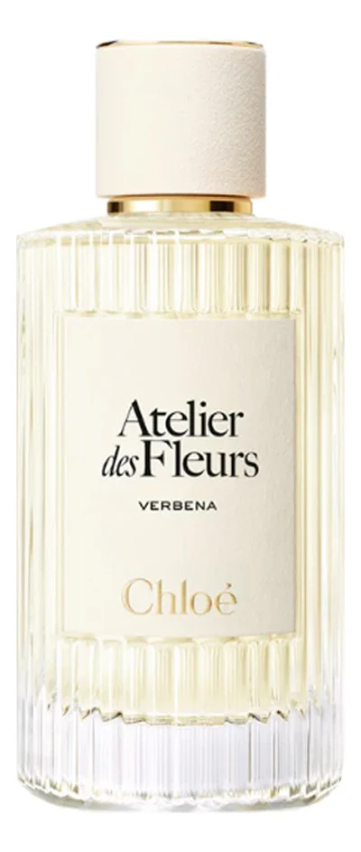 Atelier Des Fleurs Verbena