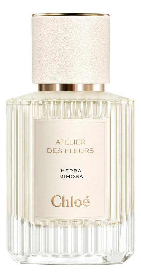 Atelier Des Fleurs Herba Mimosa