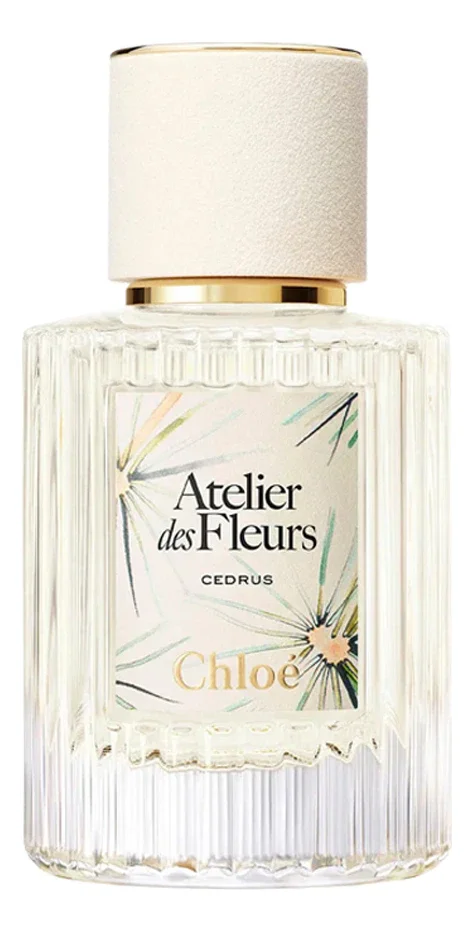 Atelier Des Fleurs Cedrus Limited Edition
