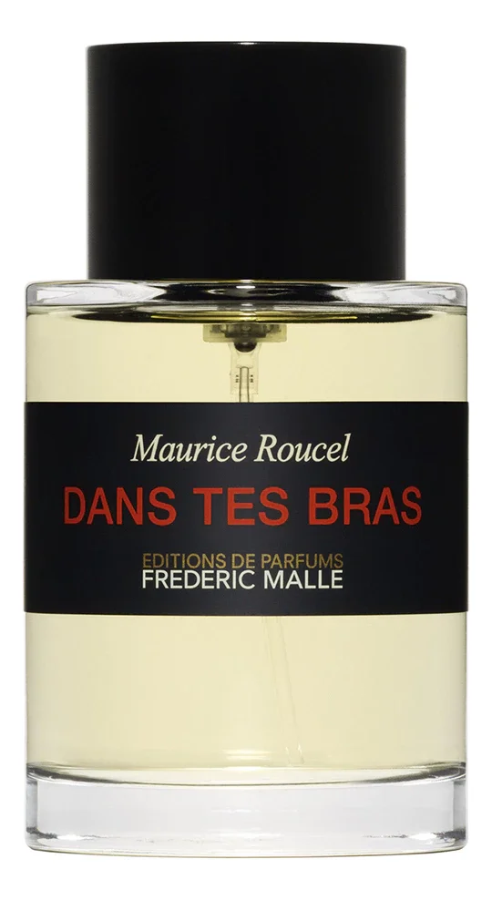 Dans Tes Bras