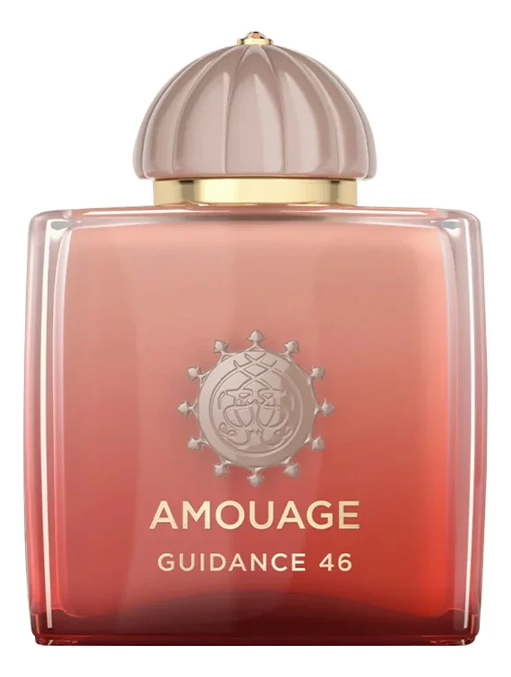 Guidance 46